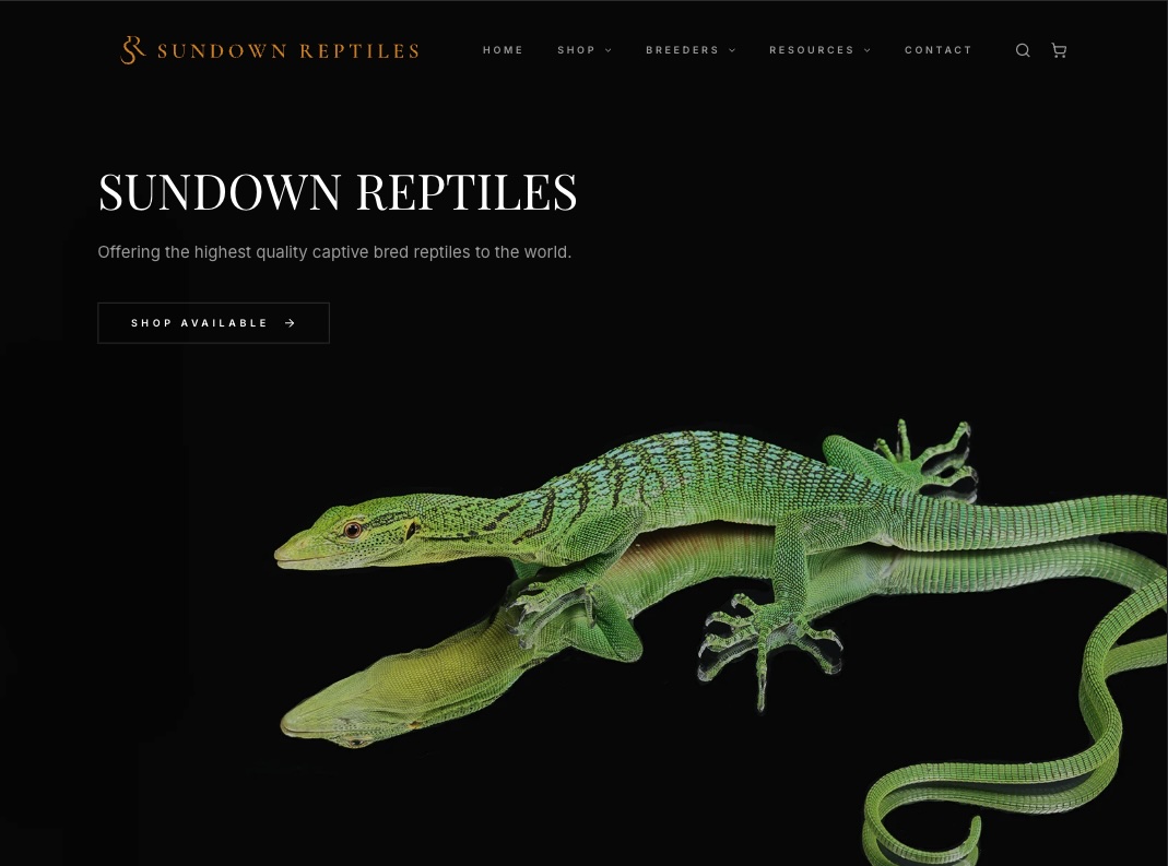 Sundown Reptiles